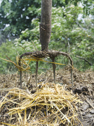 Similar image 19193050