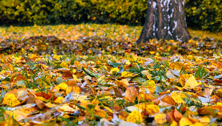 Similar image 19193283