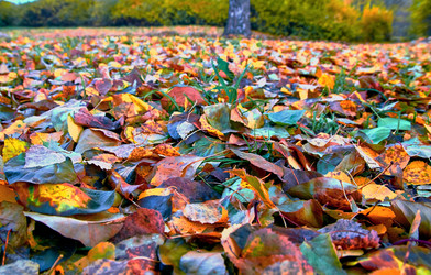 Similar image 19193286