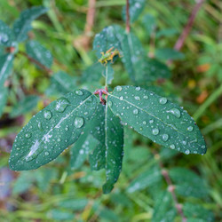 Similar image 19609051