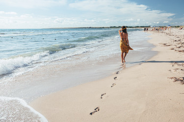 Similar image 19556712