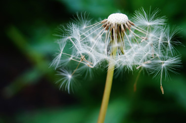 Similar image 19606720