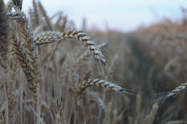 Similar image 19606726