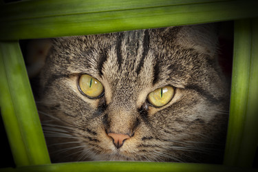 Similar image 19195410