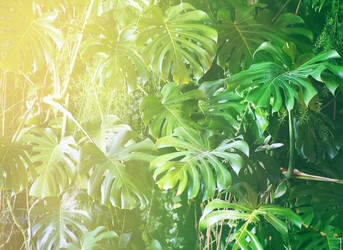 Similar image 19195900