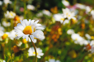 Similar image 19606717