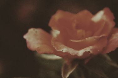 Similar image 19606721