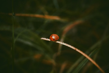 Similar image 19606725