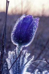 Similar image 19193000