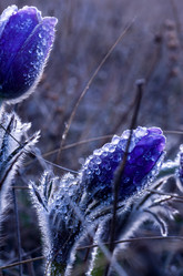 Similar image 19193001