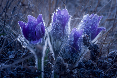 Similar image 19193002