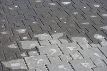 Similar image 19195832