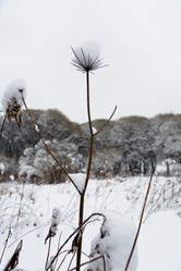 Similar image 19195480