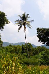 Similar image 19195482