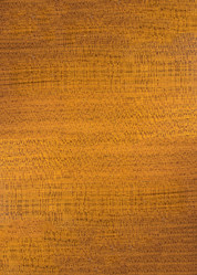 Similar image 19743235