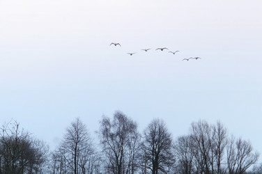 Similar image 19195959