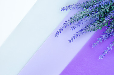 Similar image 19189495