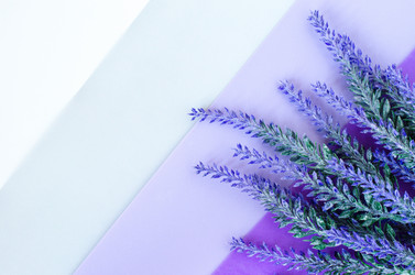 Similar image 19189500