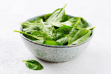 Similar image 19499169