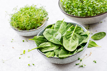 Similar image 19499171