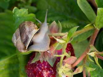 Similar image 19193132