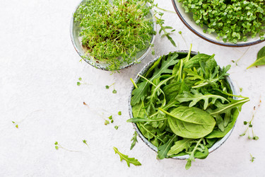 Similar image 19512013