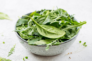 Similar image 19512024