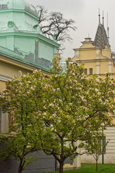 Similar image 19200689