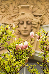 Similar image 19200721