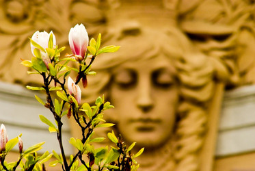 Similar image 19200738