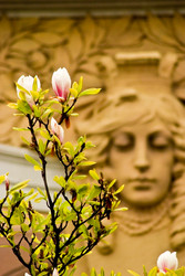 Similar image 19200687