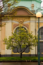 Similar image 19200691