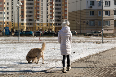 Similar image 19200192