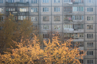 Similar image 19195826