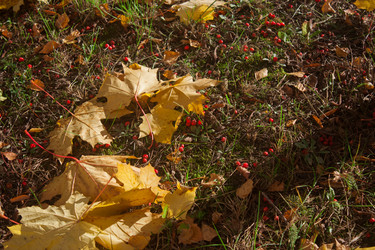 Similar image 19195827