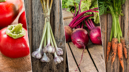 Similar image 19201977