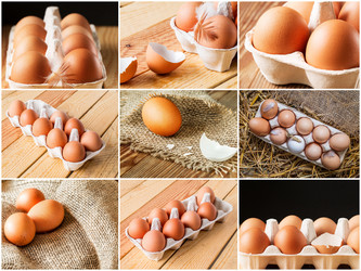 Similar image 19202014