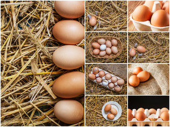 Similar image 19202022