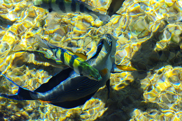 Similar image 19743067