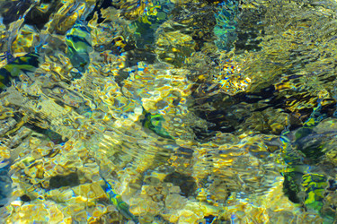 Similar image 19743068