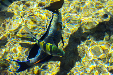 Similar image 19743069