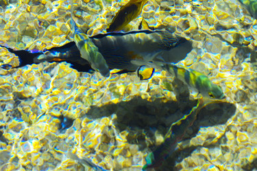 Similar image 19743071