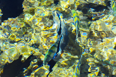 Similar image 19743072