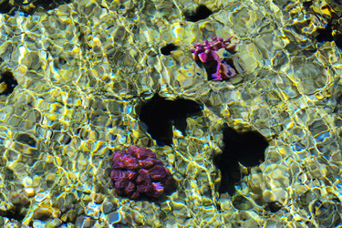 Similar image 19743075