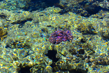 Similar image 19743076