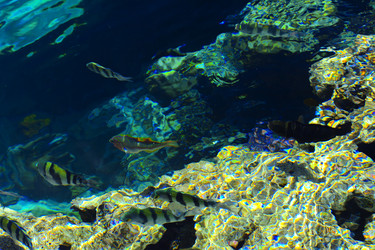 Similar image 19743079