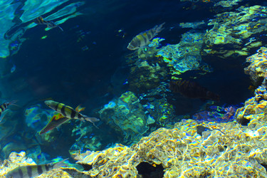 Similar image 19743087