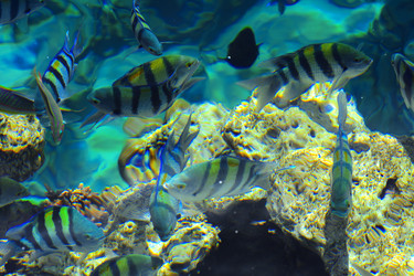 Similar image 19743091