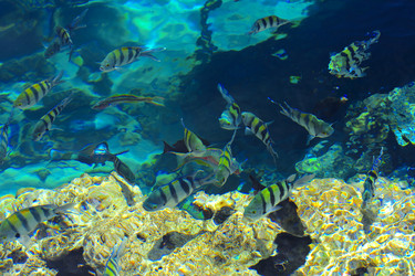 Similar image 19743095