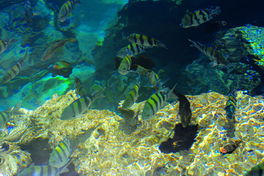 Similar image 19743096